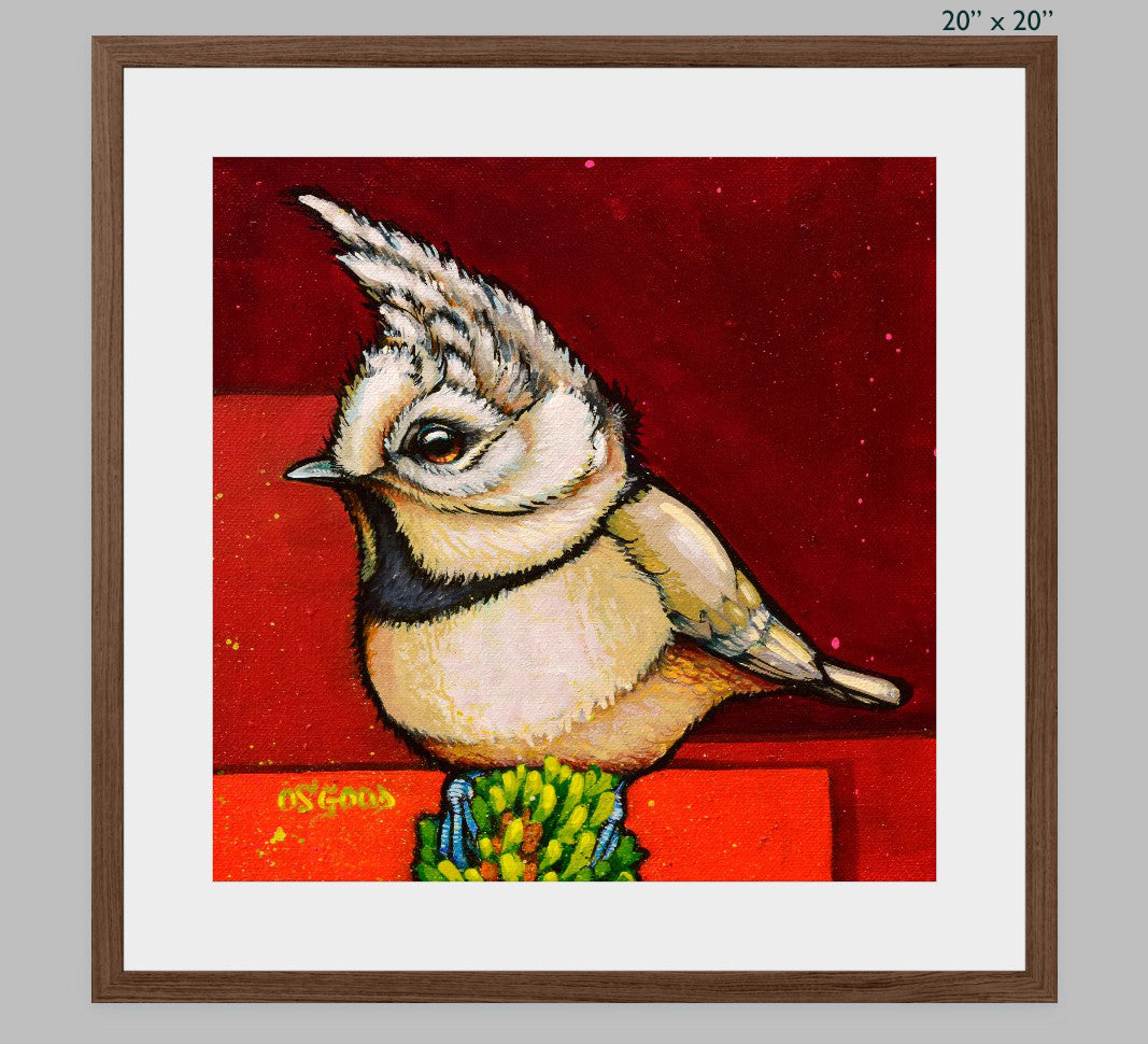 Crested Calculation Fine Art Print