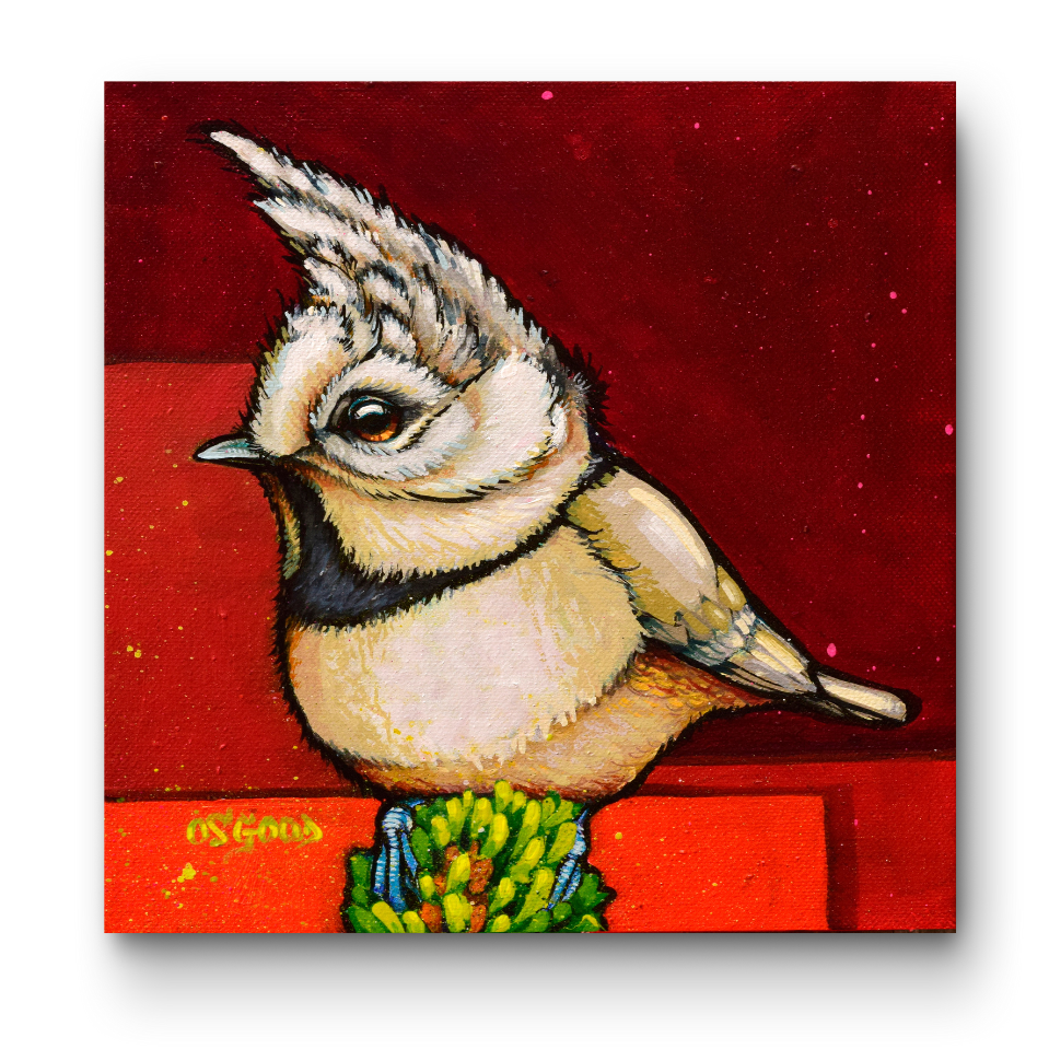 Crested Calculation Fine Art Print – John Osgood