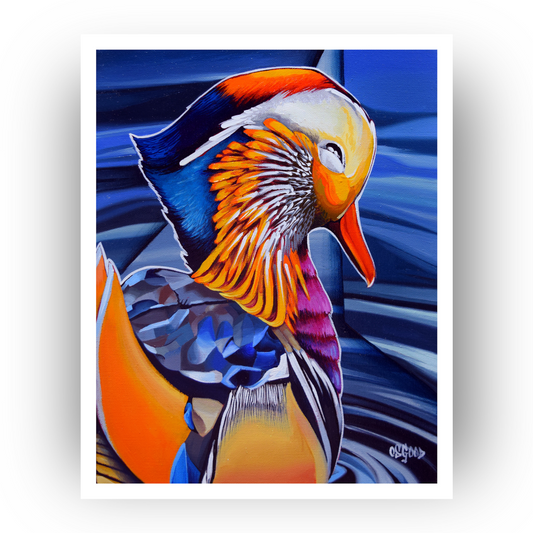 Mandarin Duck Fine Art Print