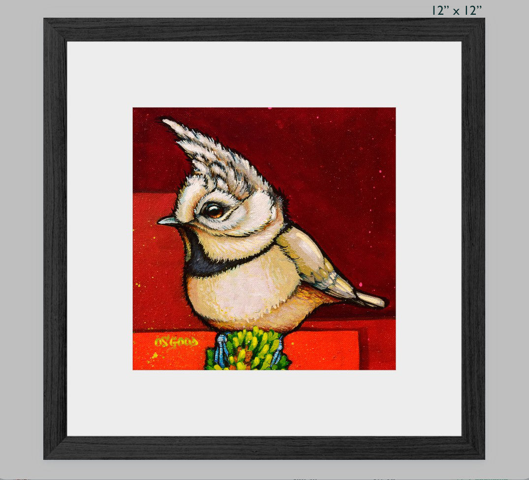 Crested Calculation Fine Art Print