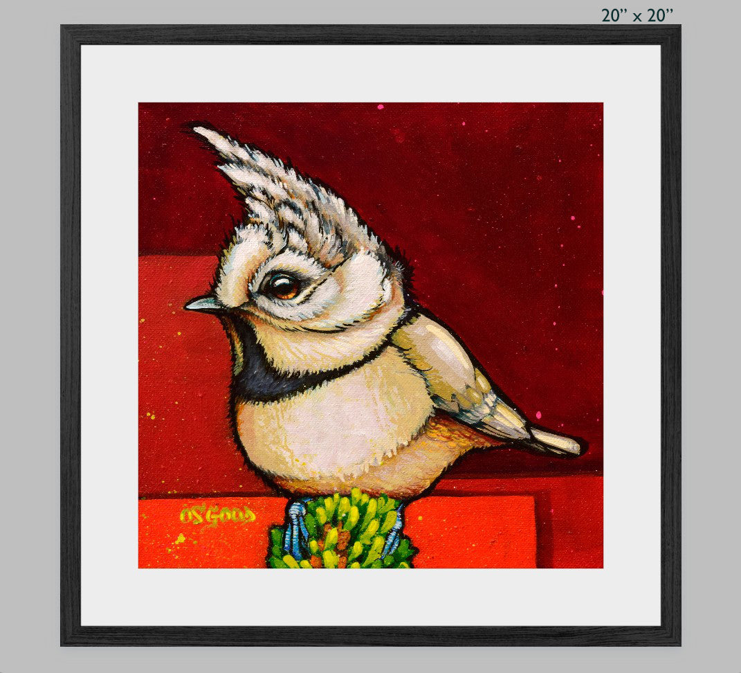 Crested Calculation Fine Art Print