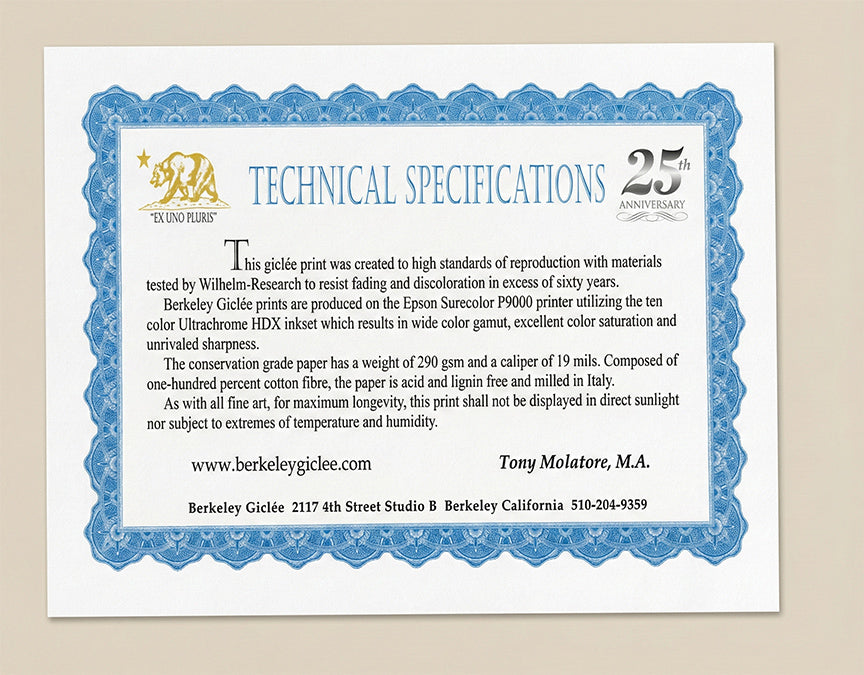 Captivated Ltd Edition Fine Art Giclee 1 of 5