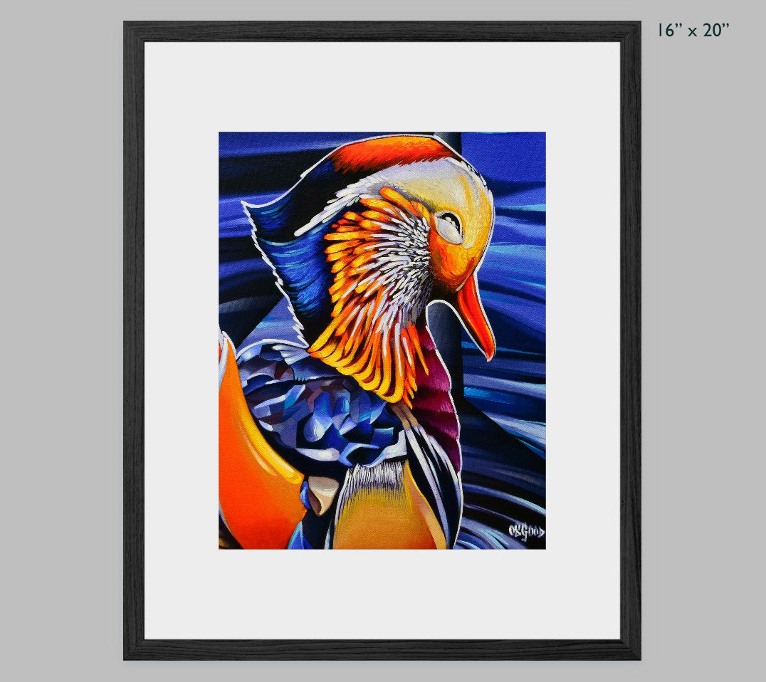 Mandarin Duck Fine Art Print