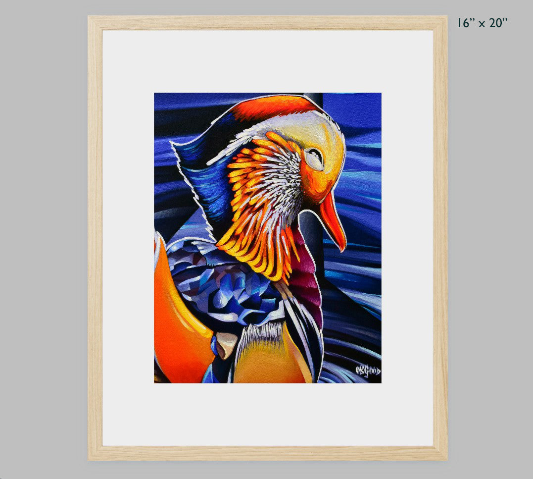 Mandarin Duck Fine Art Print