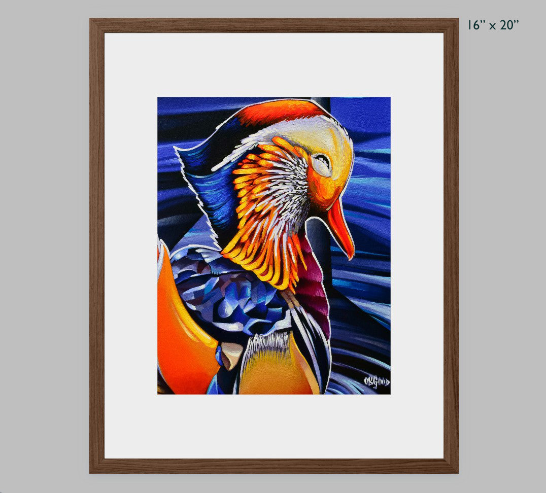 Mandarin Duck Fine Art Print