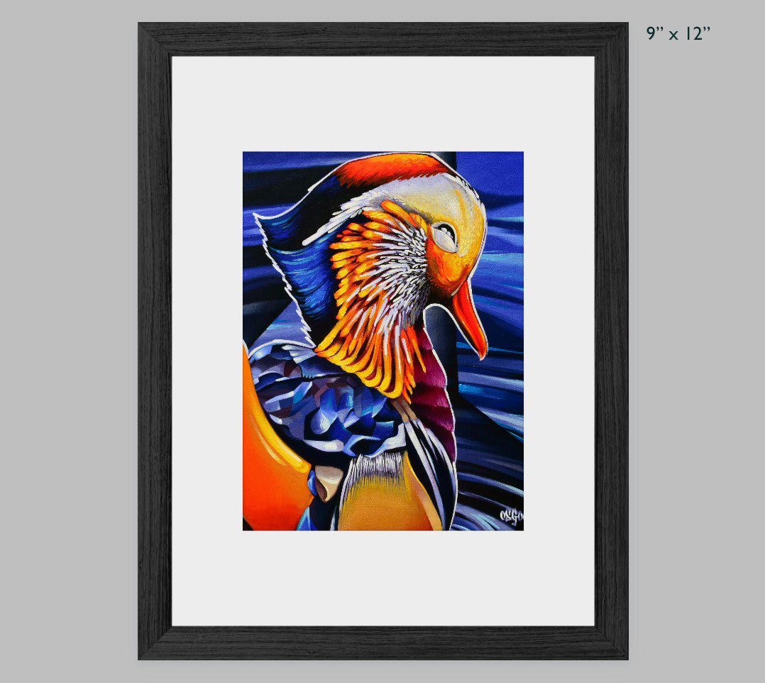 Mandarin Duck Fine Art Print