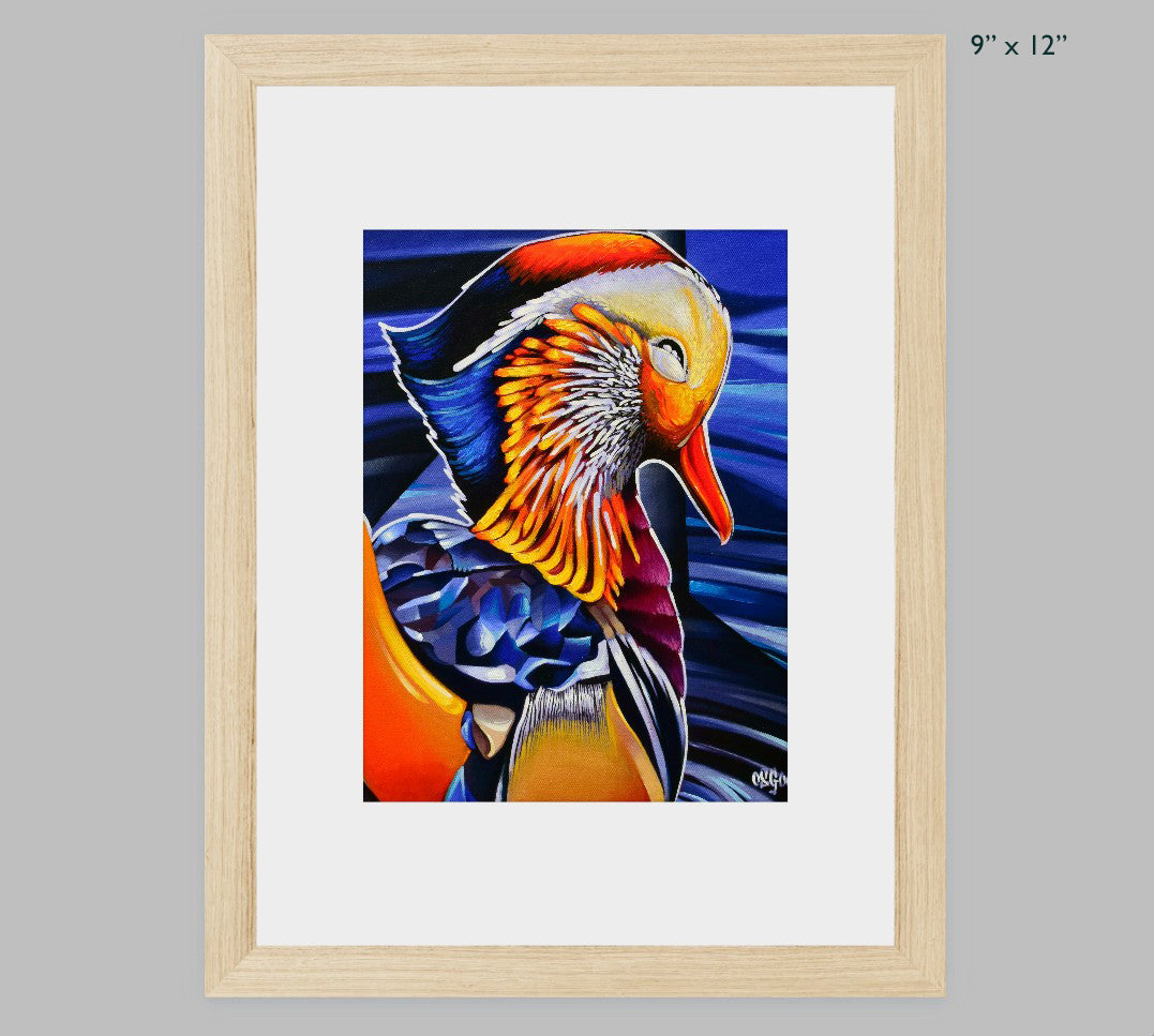 Mandarin Duck Fine Art Print
