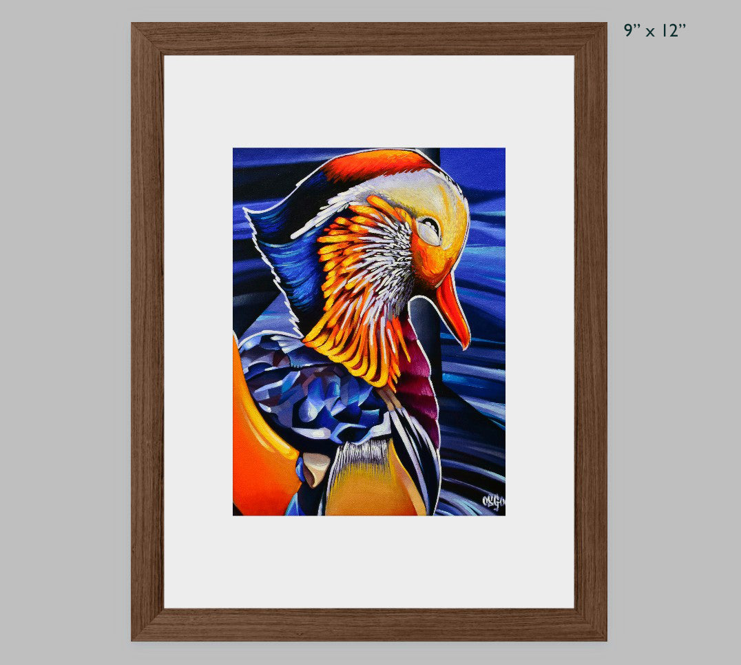 Mandarin Duck Fine Art Print