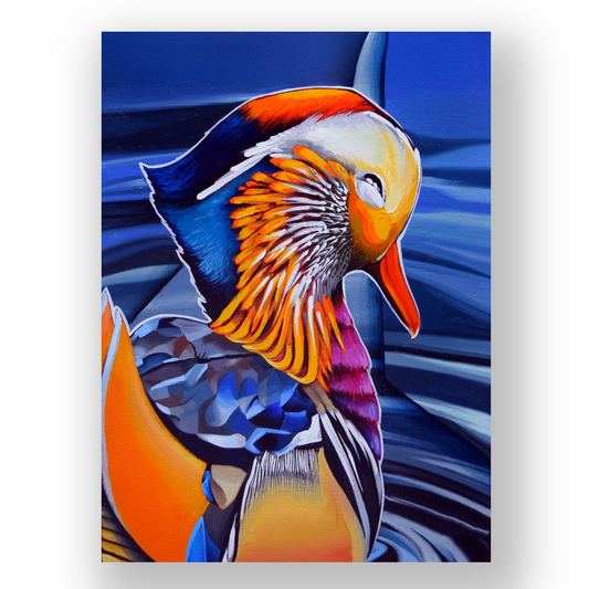 Mandarin Duck Fine Art Print