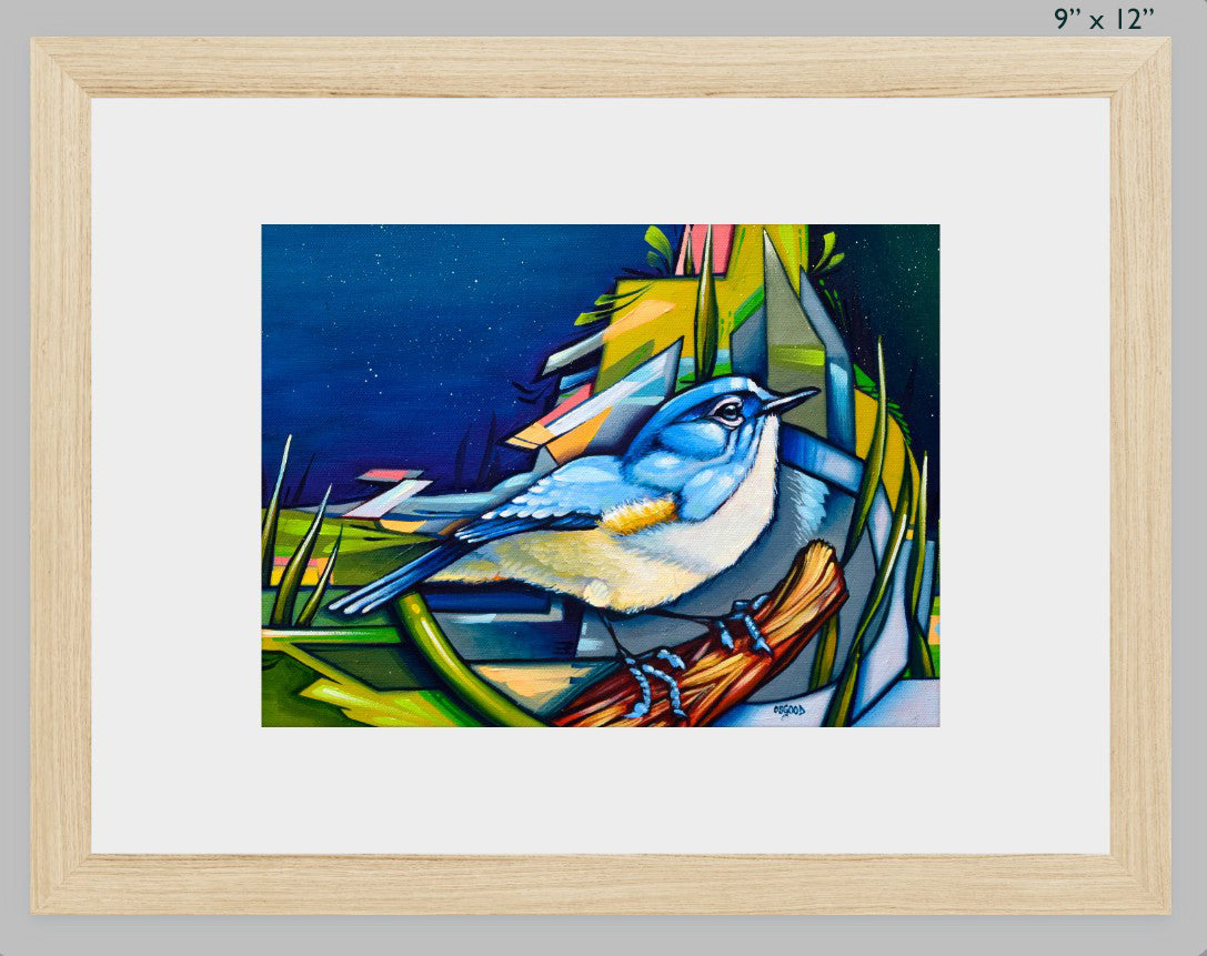 Vast Options Fine Art Print